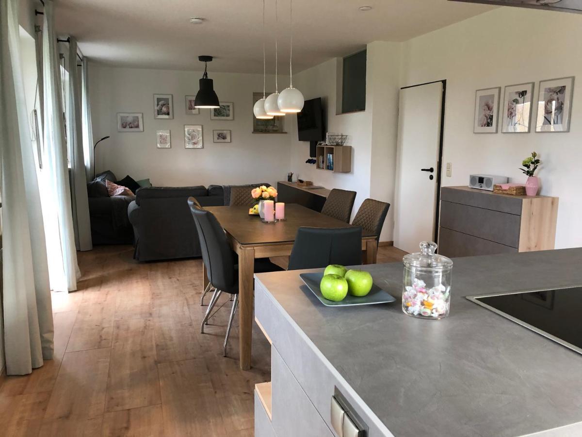 Haus Am Spitalgarten Fuer 10 Personen Gundelfingen an der Donau Ngoại thất bức ảnh