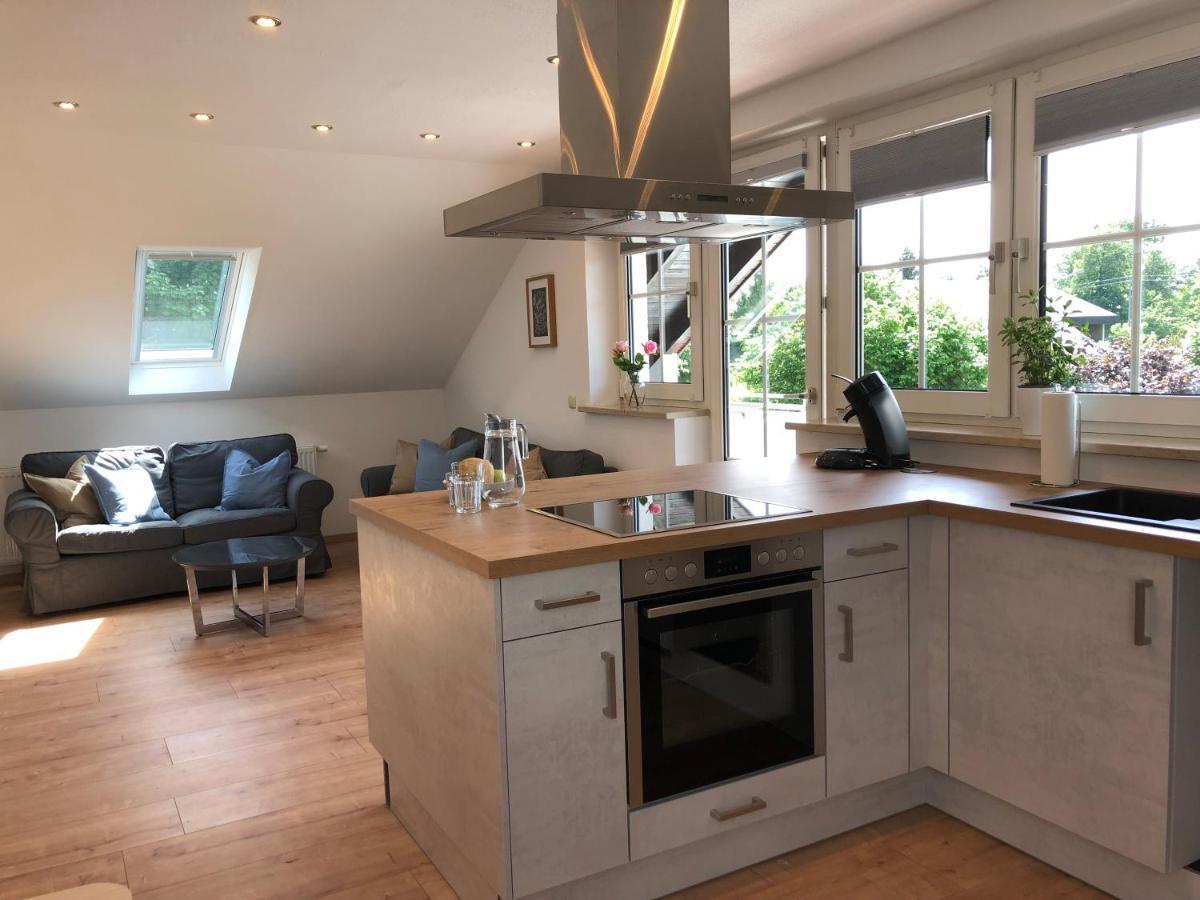 Haus Am Spitalgarten Fuer 10 Personen Gundelfingen an der Donau Ngoại thất bức ảnh